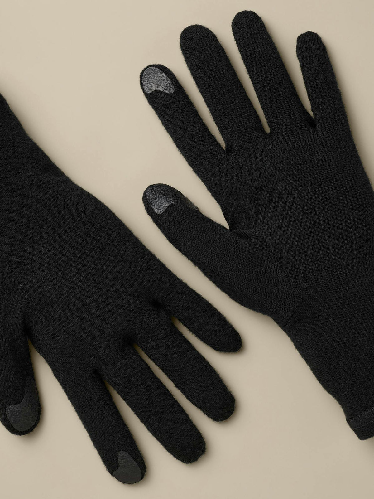 Arcteryx Gothic Glove