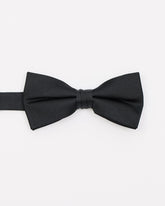 Solid Iridescent Bow Tie rw&co Special Promo Price