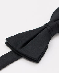 Solid Iridescent Bow Tie rw&co Special Promo Price