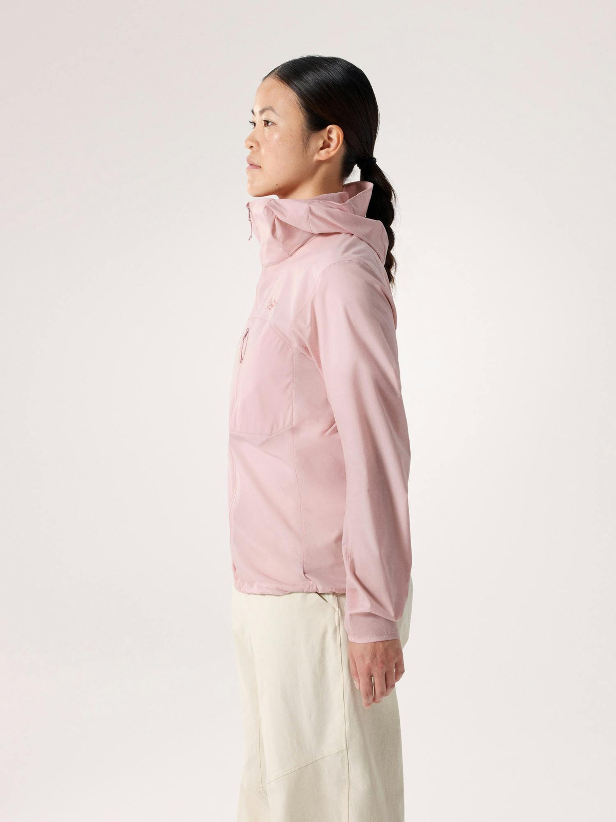 Arcteryx Squamish Hoody Women's