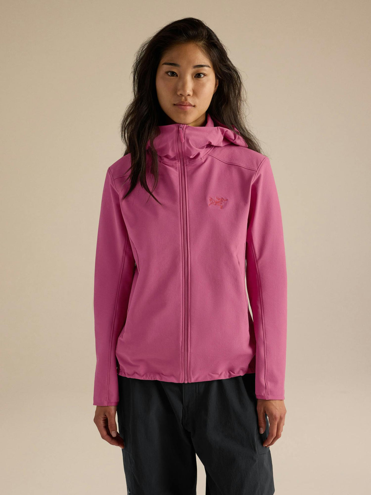 Arcteryx Gamma Hoody Women's