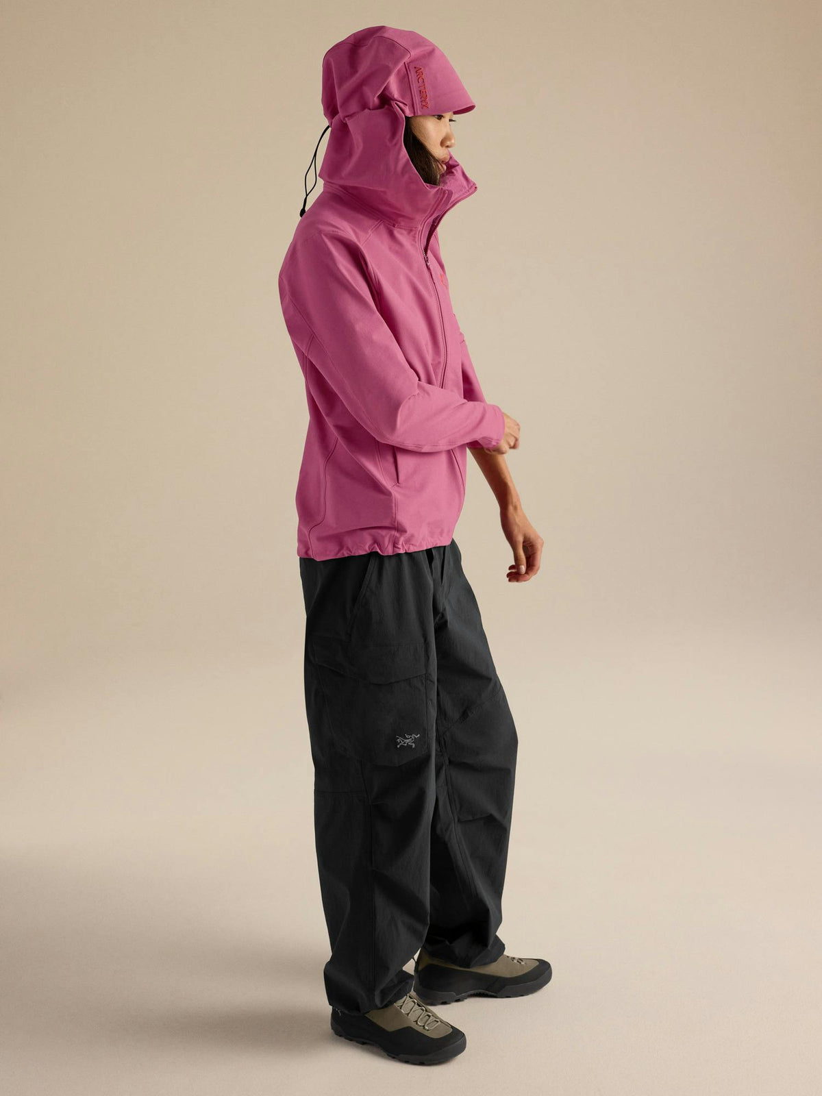 Arcteryx Gamma Hoody Women's