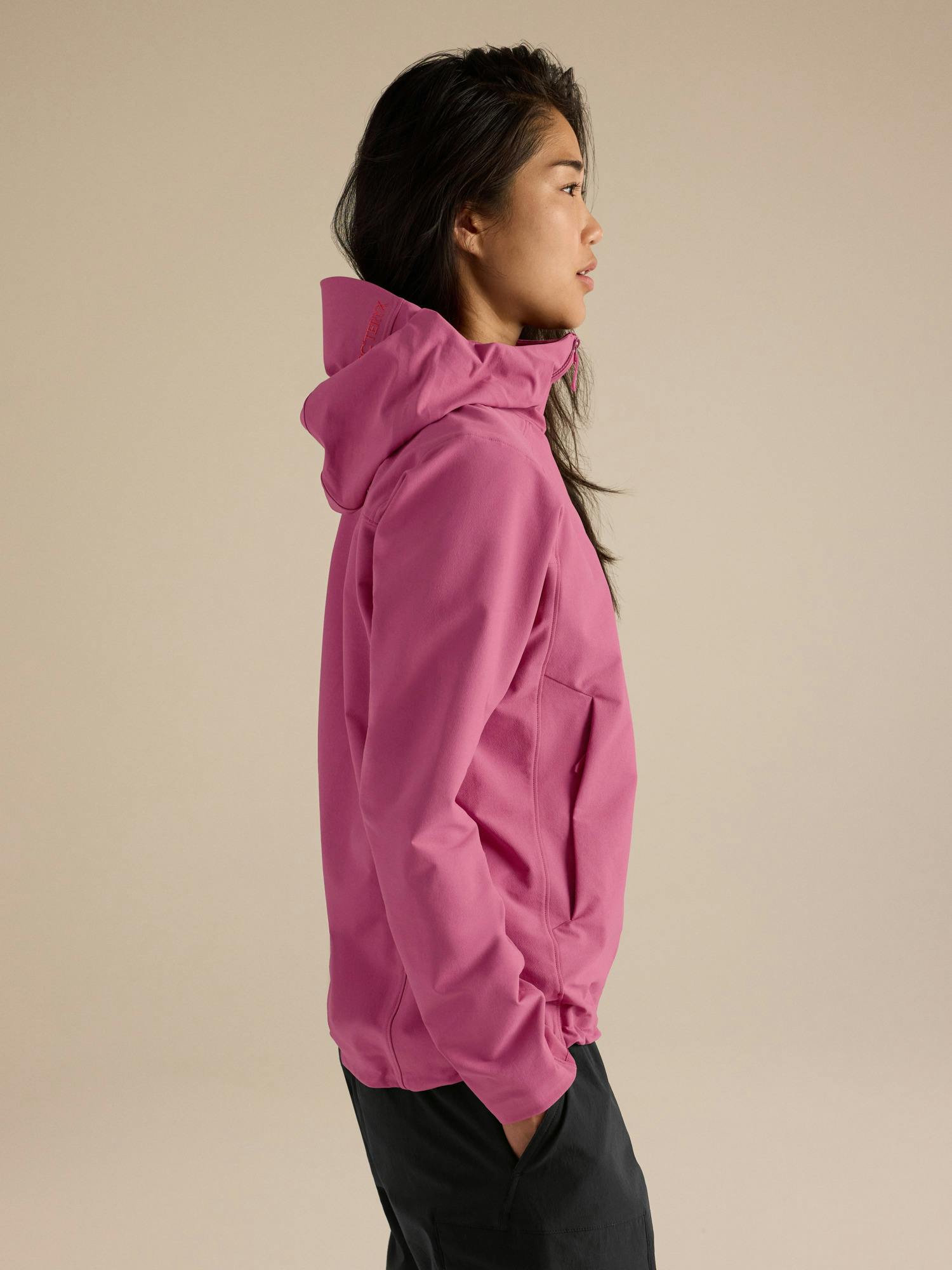 Arcteryx Gamma Hoody Women's