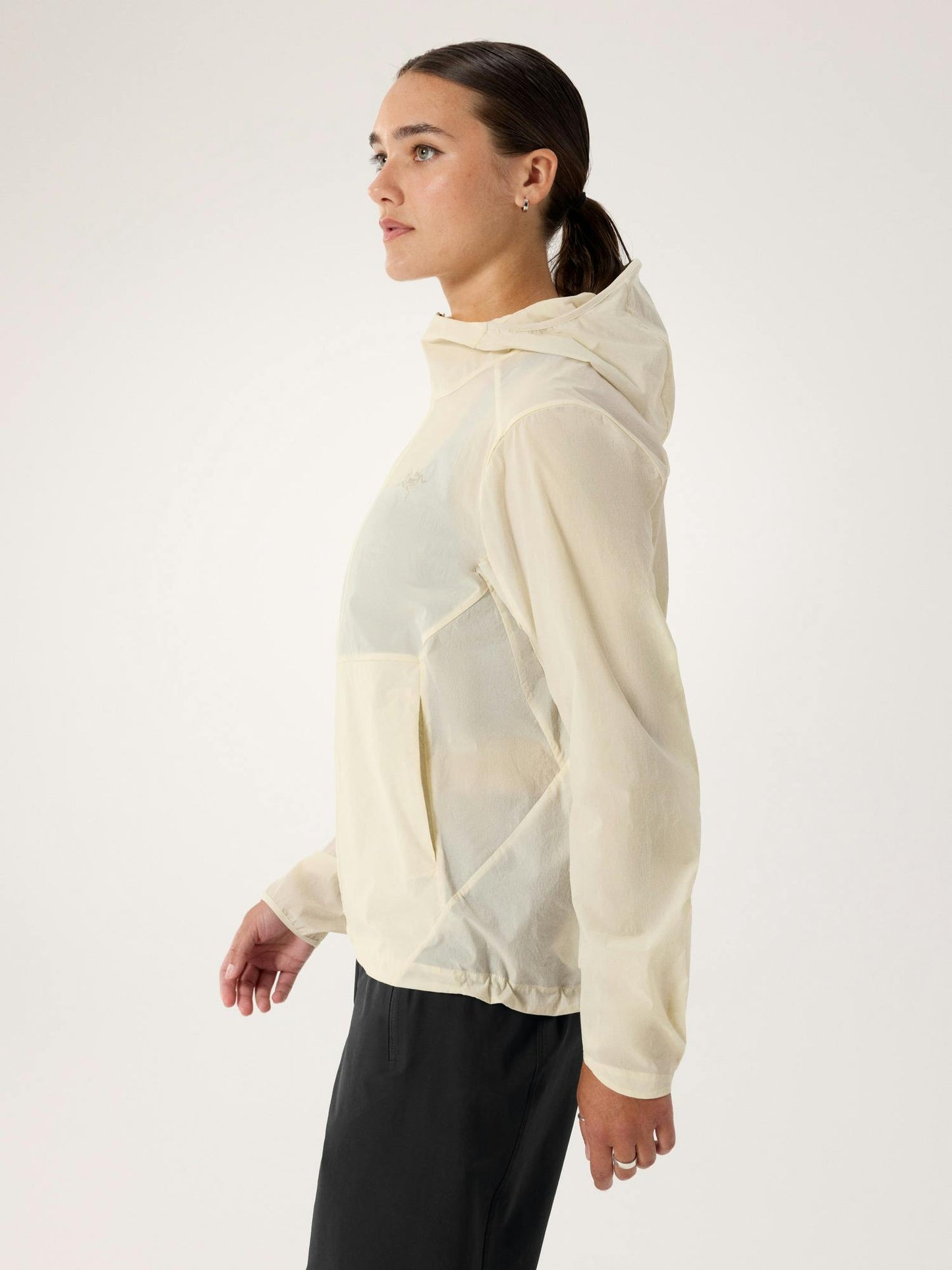 Arcteryx Sinsola Hoody Women's