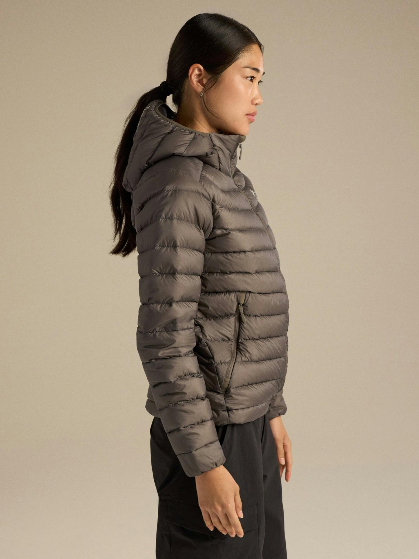 Arcteryx Cerium Hoody Women's