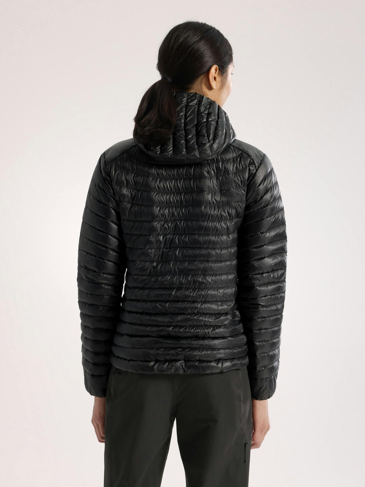 Arcteryx Cerium SL Hoody Women's