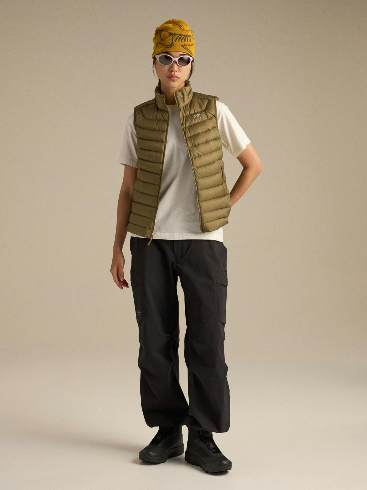Arcteryx Cerium Vest Women's