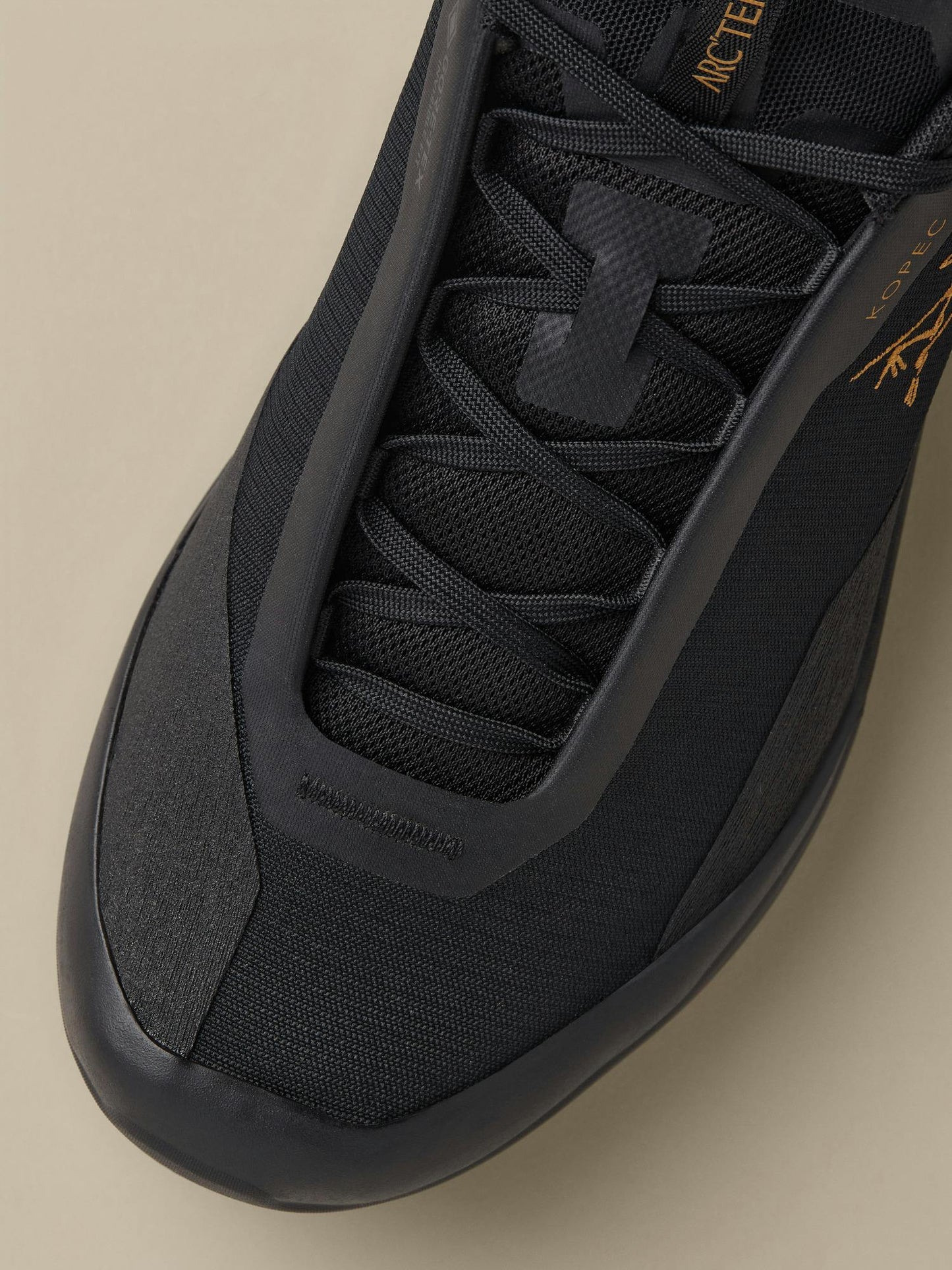 Arcteryx Kopec 2 Low GTX Shoe Women's