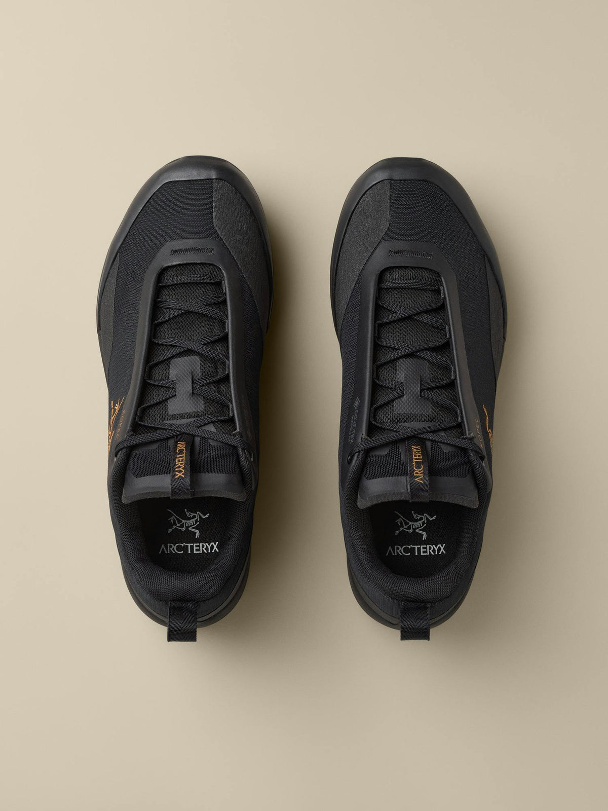 Arcteryx Kopec 2 Low GTX Shoe Women's
