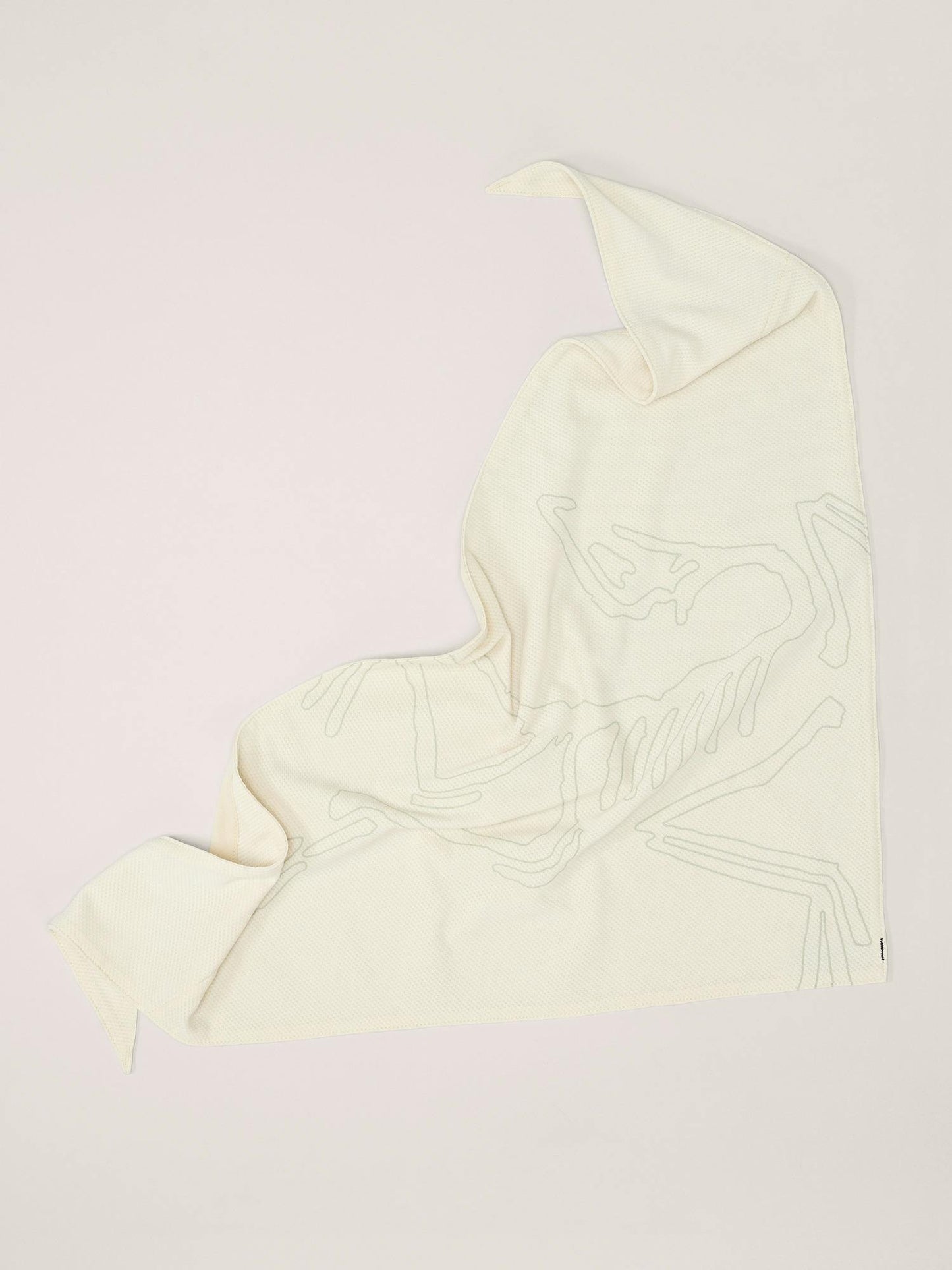 Arcteryx Sinsolo Bandana