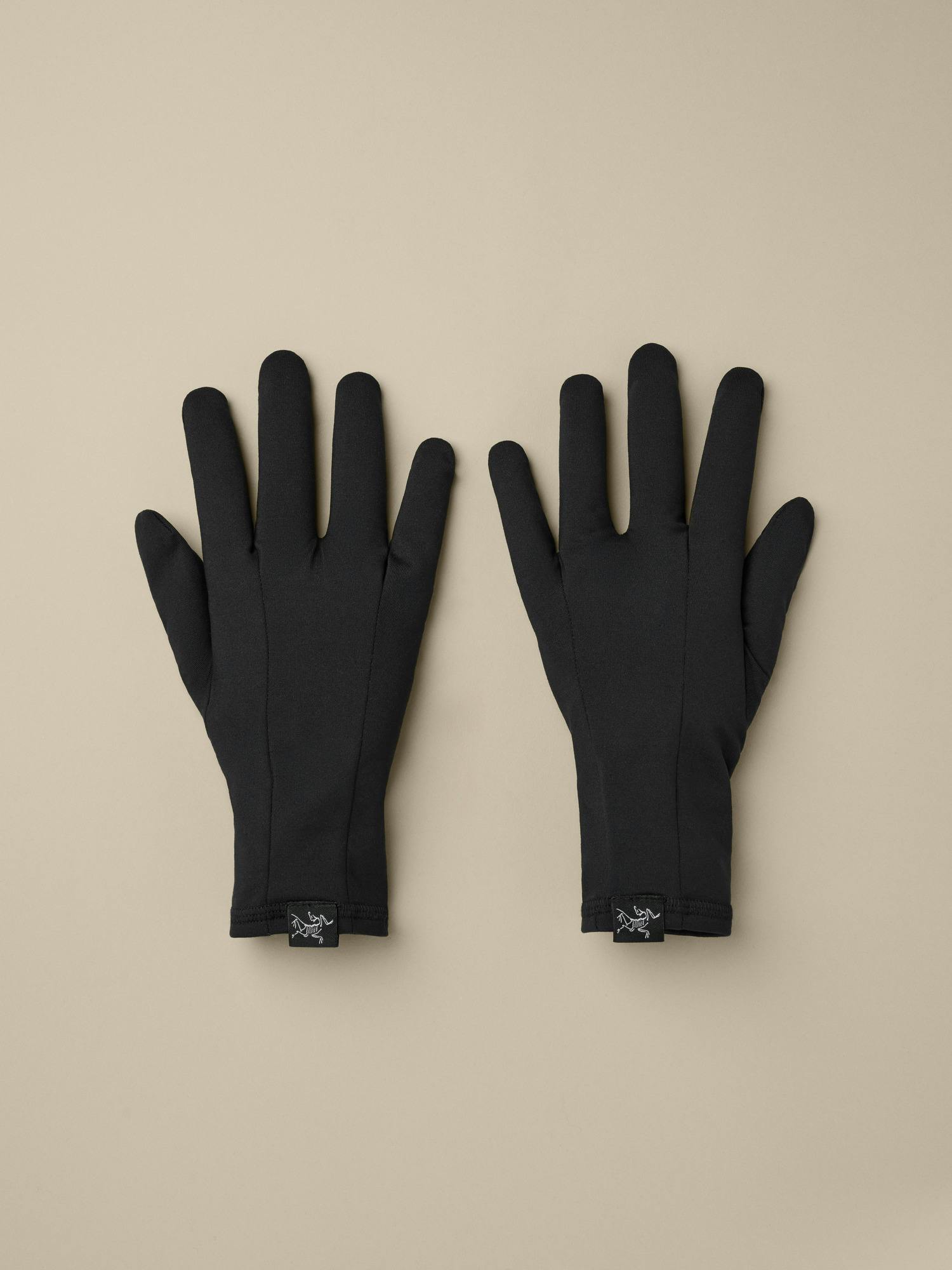 Arcteryx Rho Glove