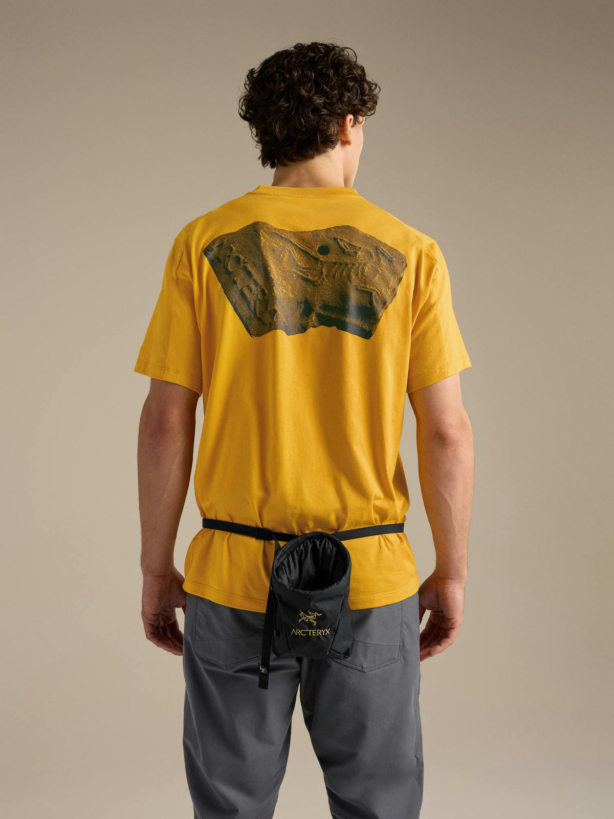 Arcteryx Ion SL Chalkbag