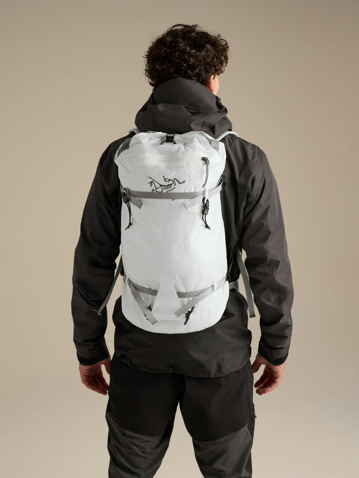 Arcteryx Alpha SL 30 Backpack