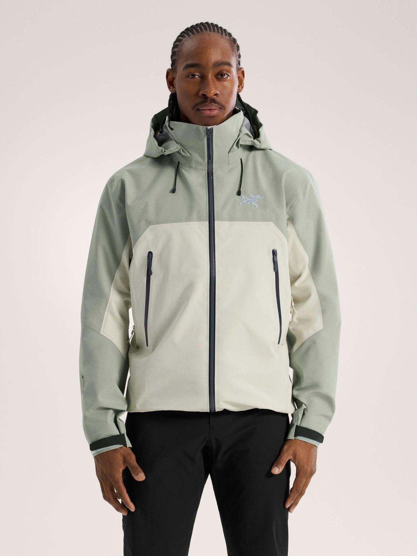 Arcteryx Beta AR Jacket Men's