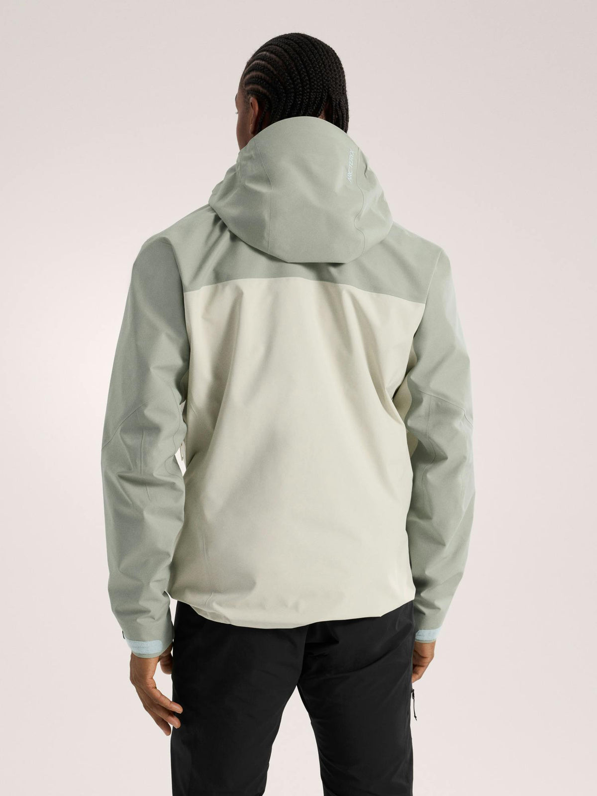 Arcteryx Beta AR Jacket Men's