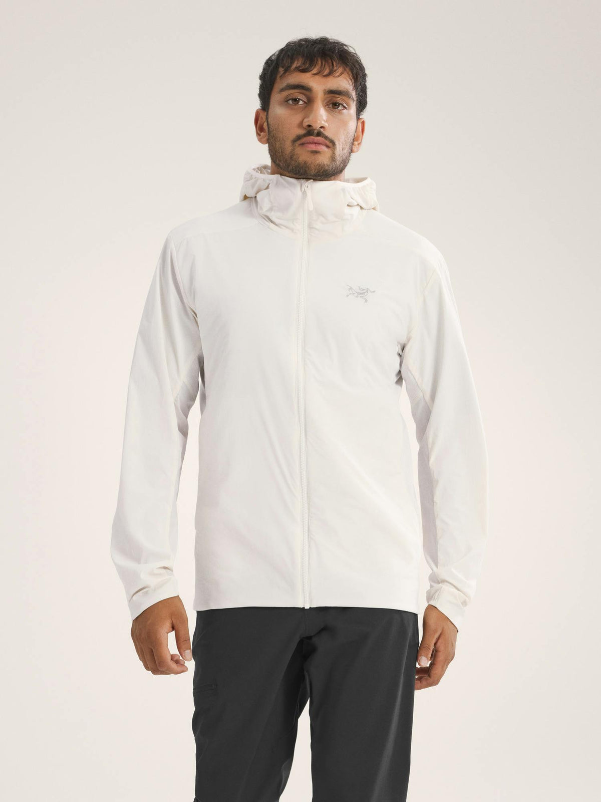 Arcteryx Atom SL Hoody Men's