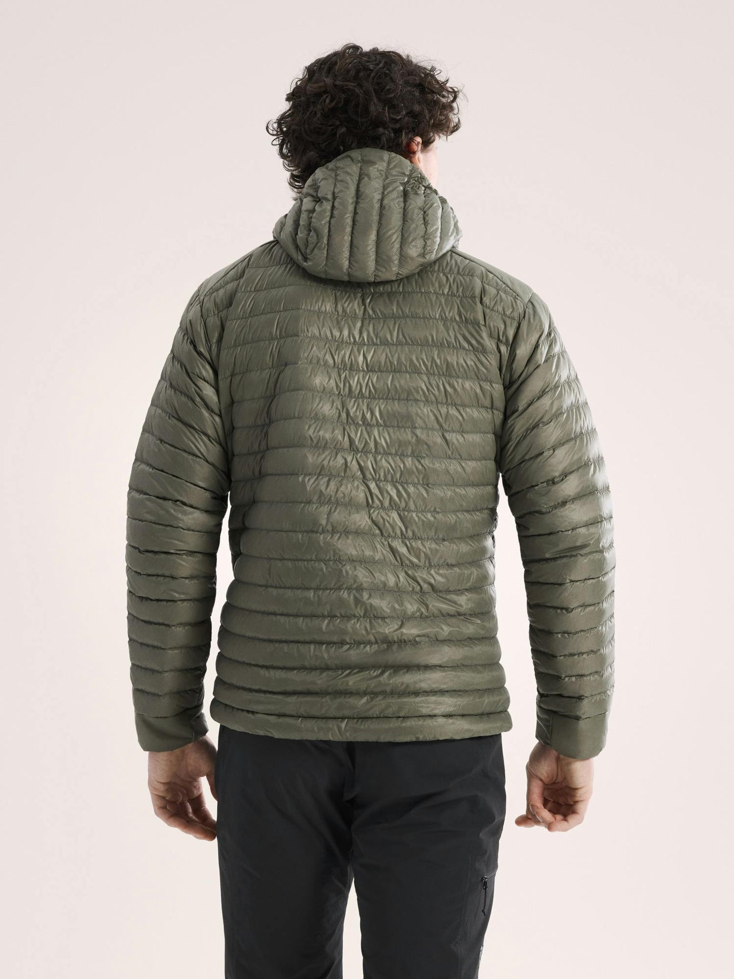 Arcteryx Cerium SL Hoody Men's