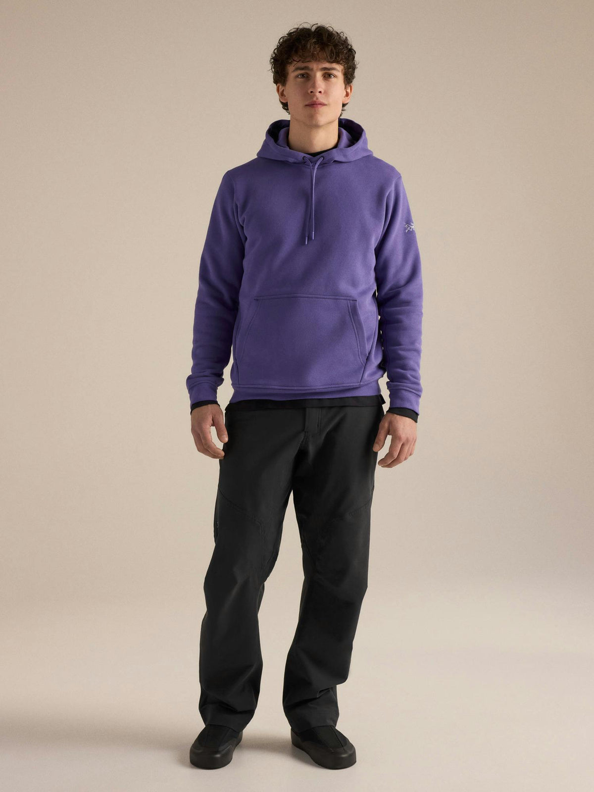 Arcteryx Emblem Fleece Hoody Men's