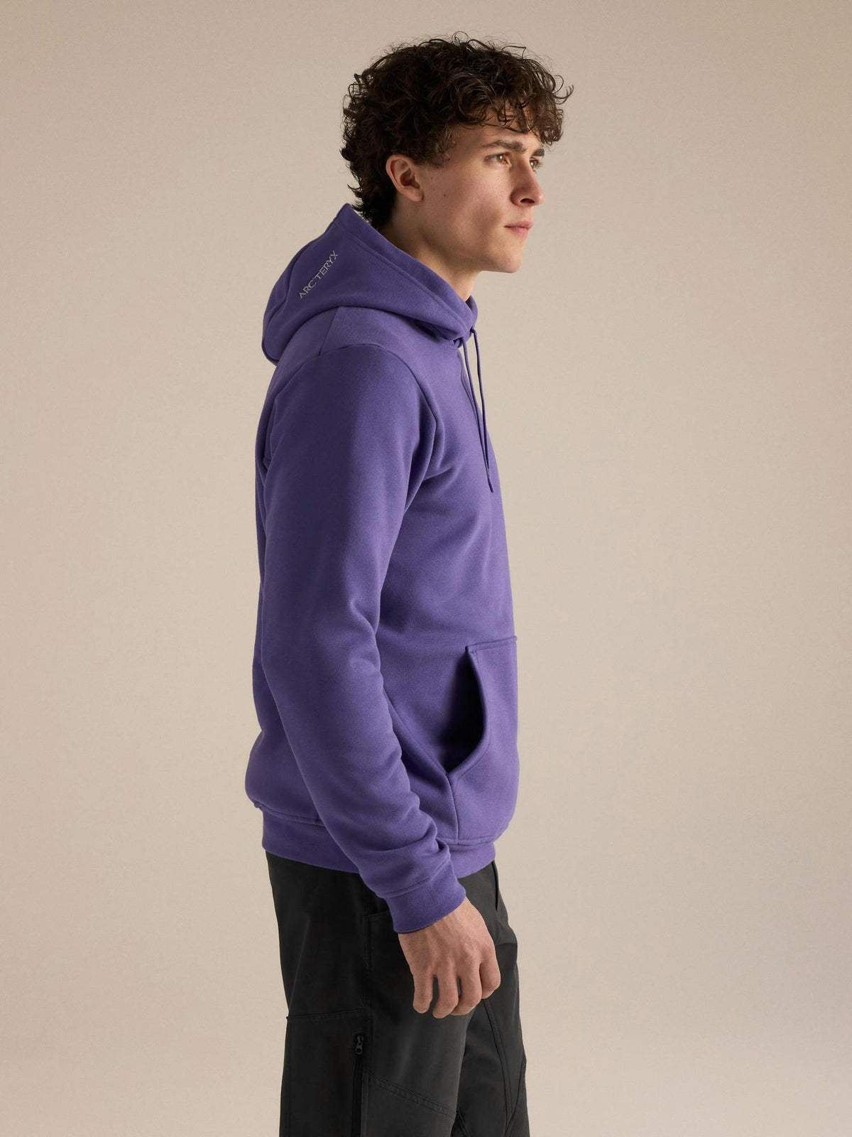 Arcteryx Emblem Fleece Hoody Men's