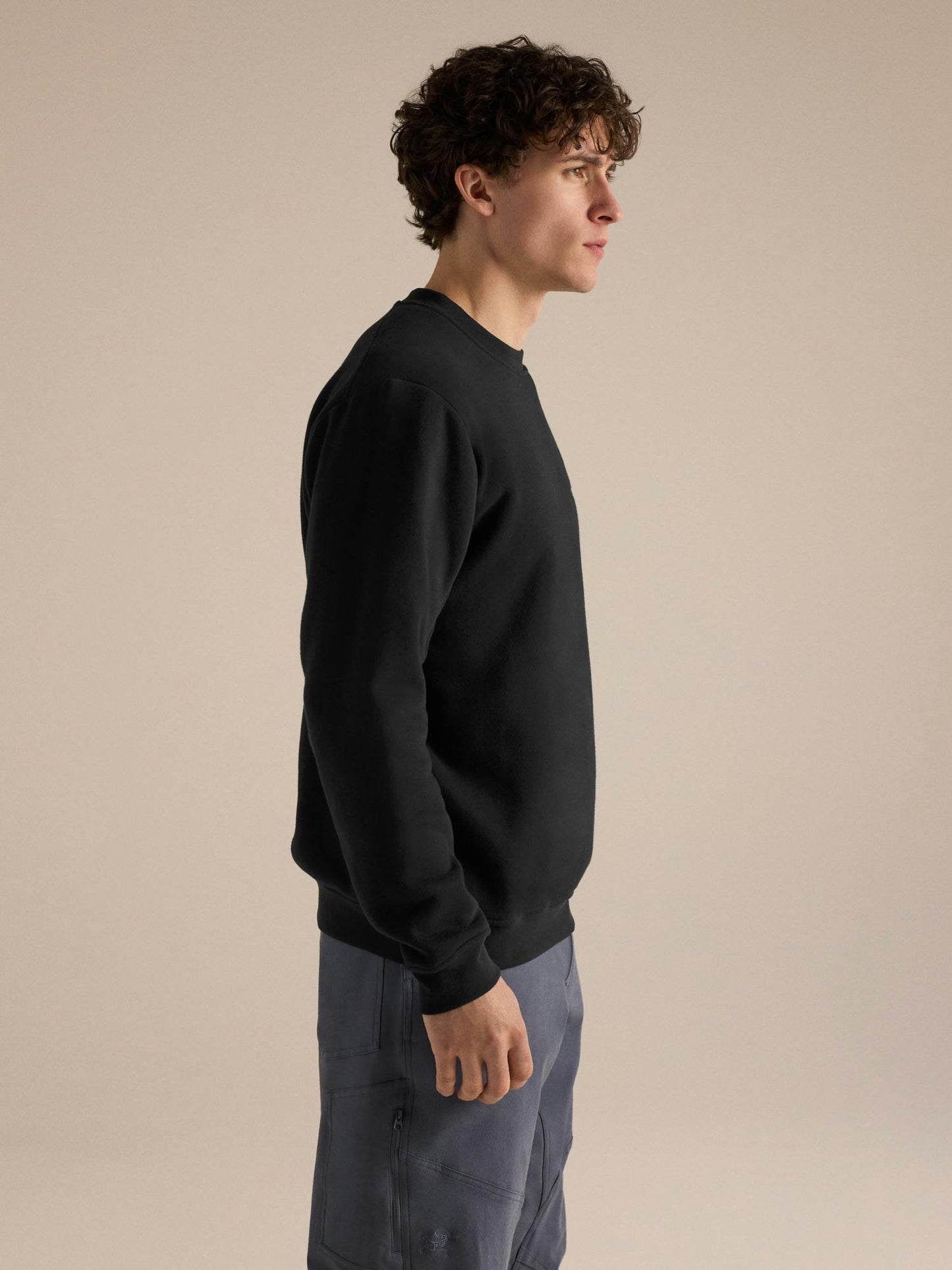 Arcteryx Emblem Fleece Crew Neck Pullover Men's