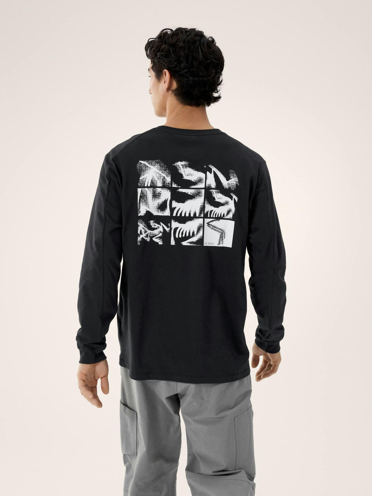 Arcteryx Kragg SL Cotton Bird Tile Shirt LS Men's