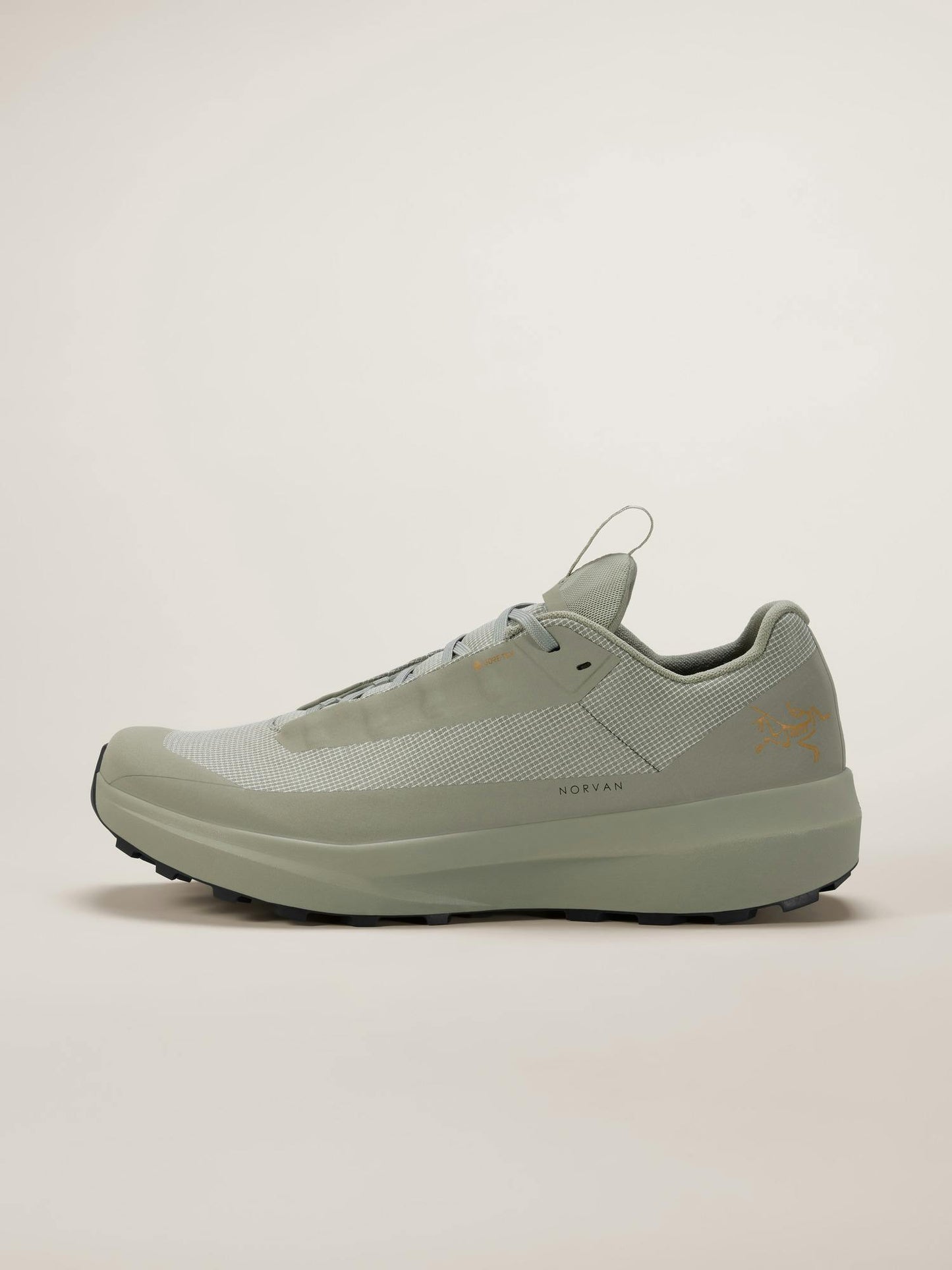 Arcteryx Norvan LD 4 GTX Shoe Men's