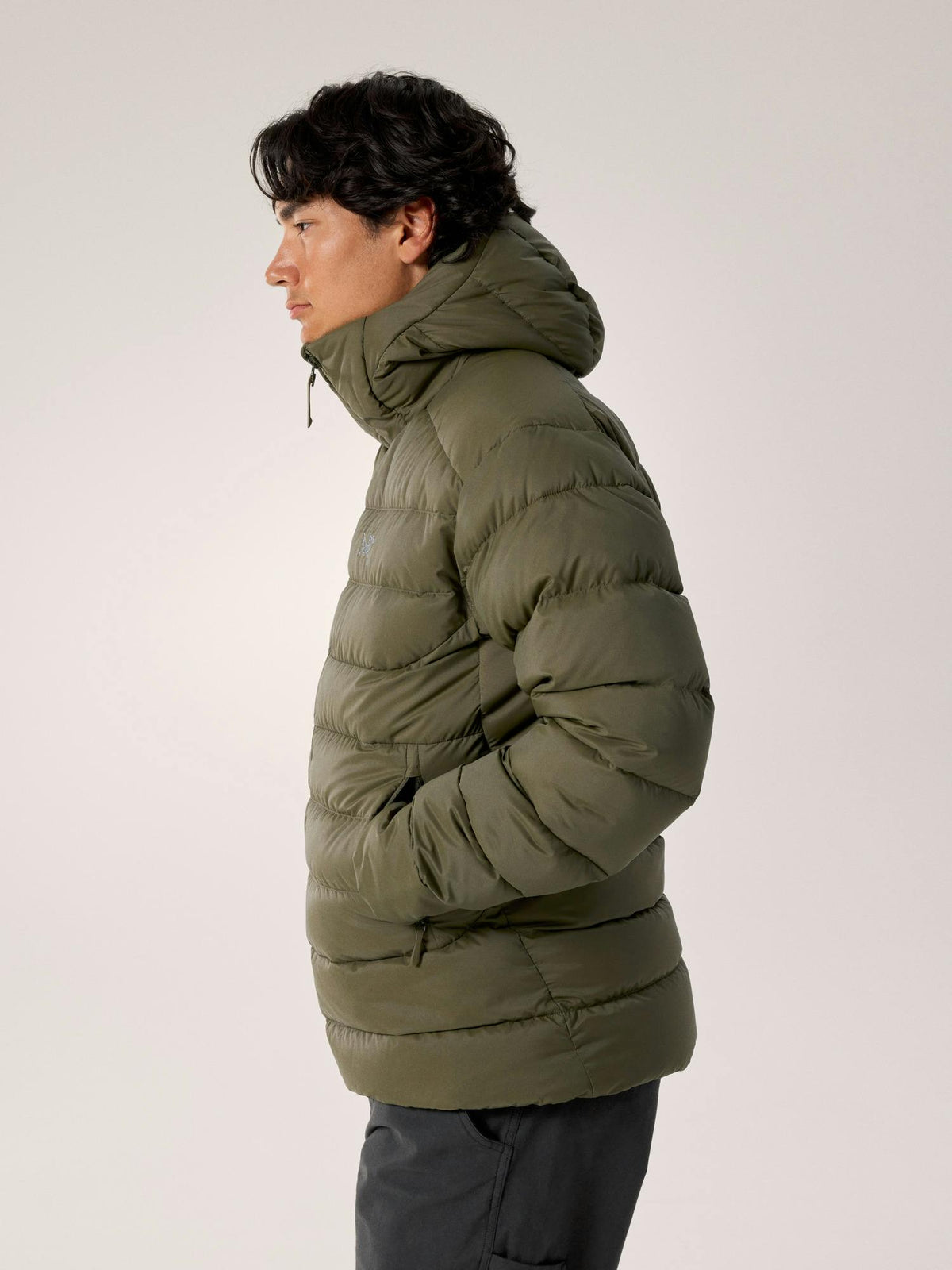Arcteryx Thorium Hoody Men's