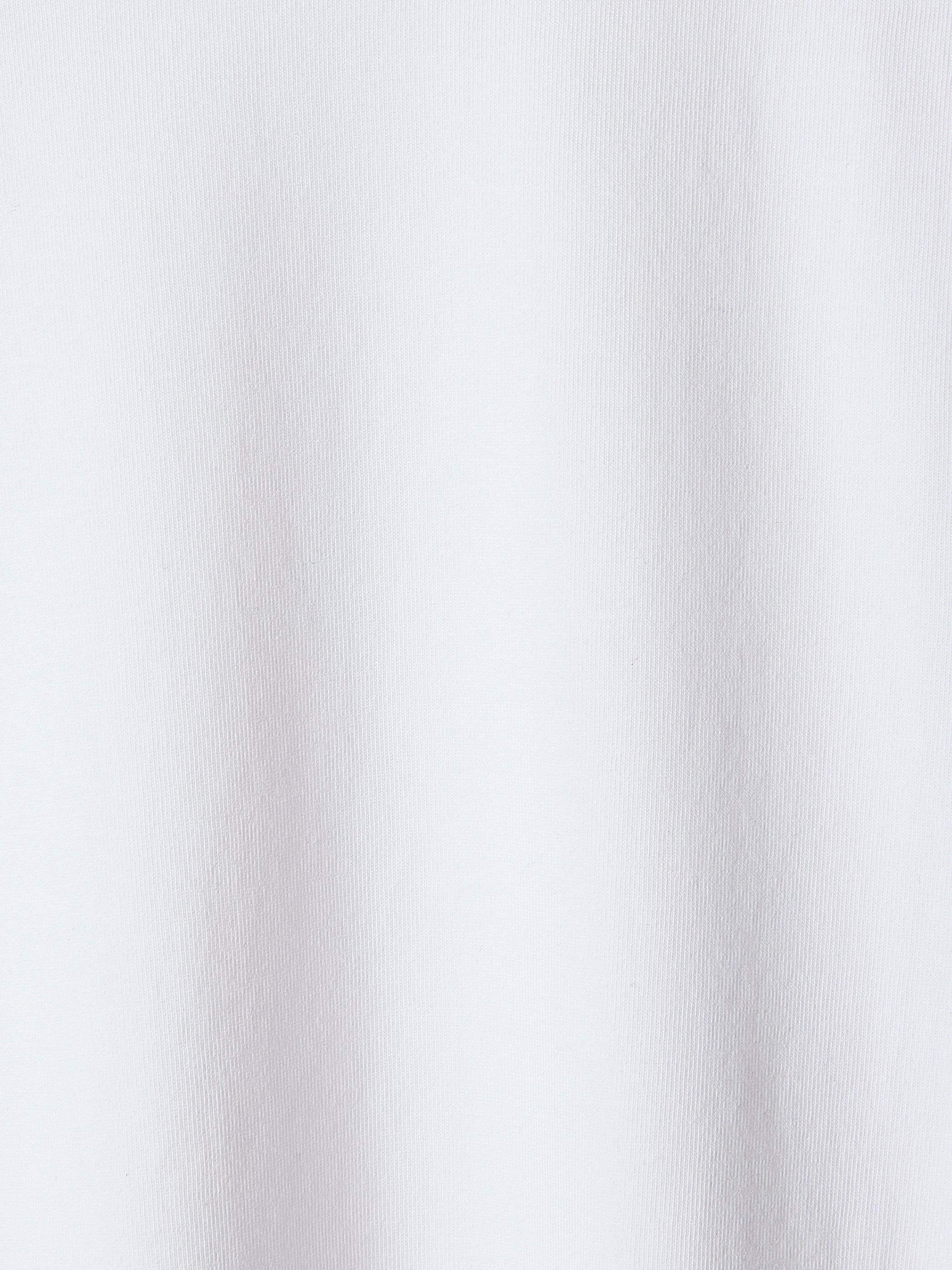 Supima Cotton (R) V-Neck T-shirt rw&co Exclusive Sale Price