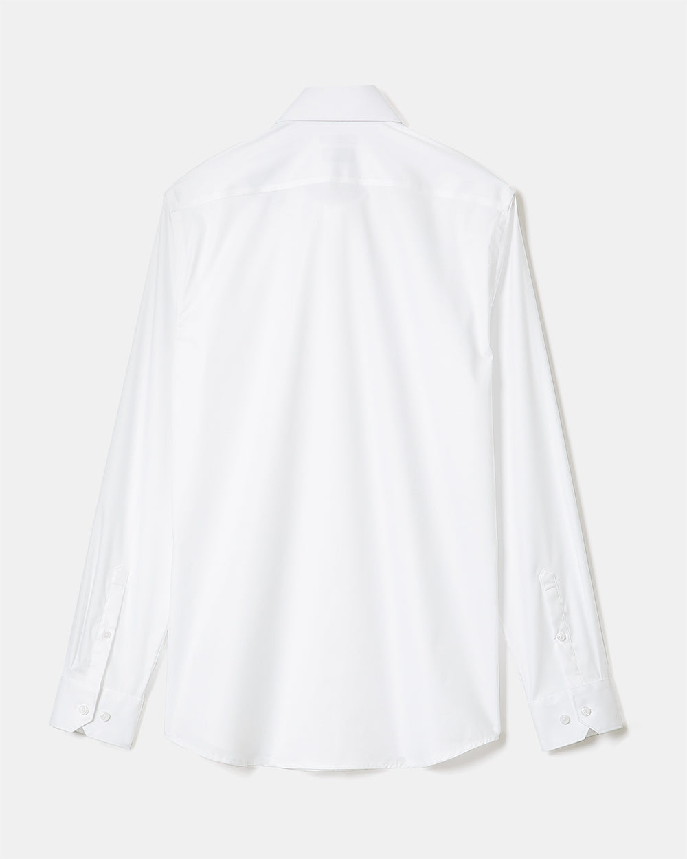 Slim Fit Stretch Dress Shirt rw&co On Sale