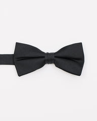 Solid Iridescent Bow Tie rw&co Special Promo Price