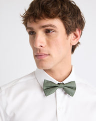 Green Textured Bow Tie rw&co Limited Time Discount