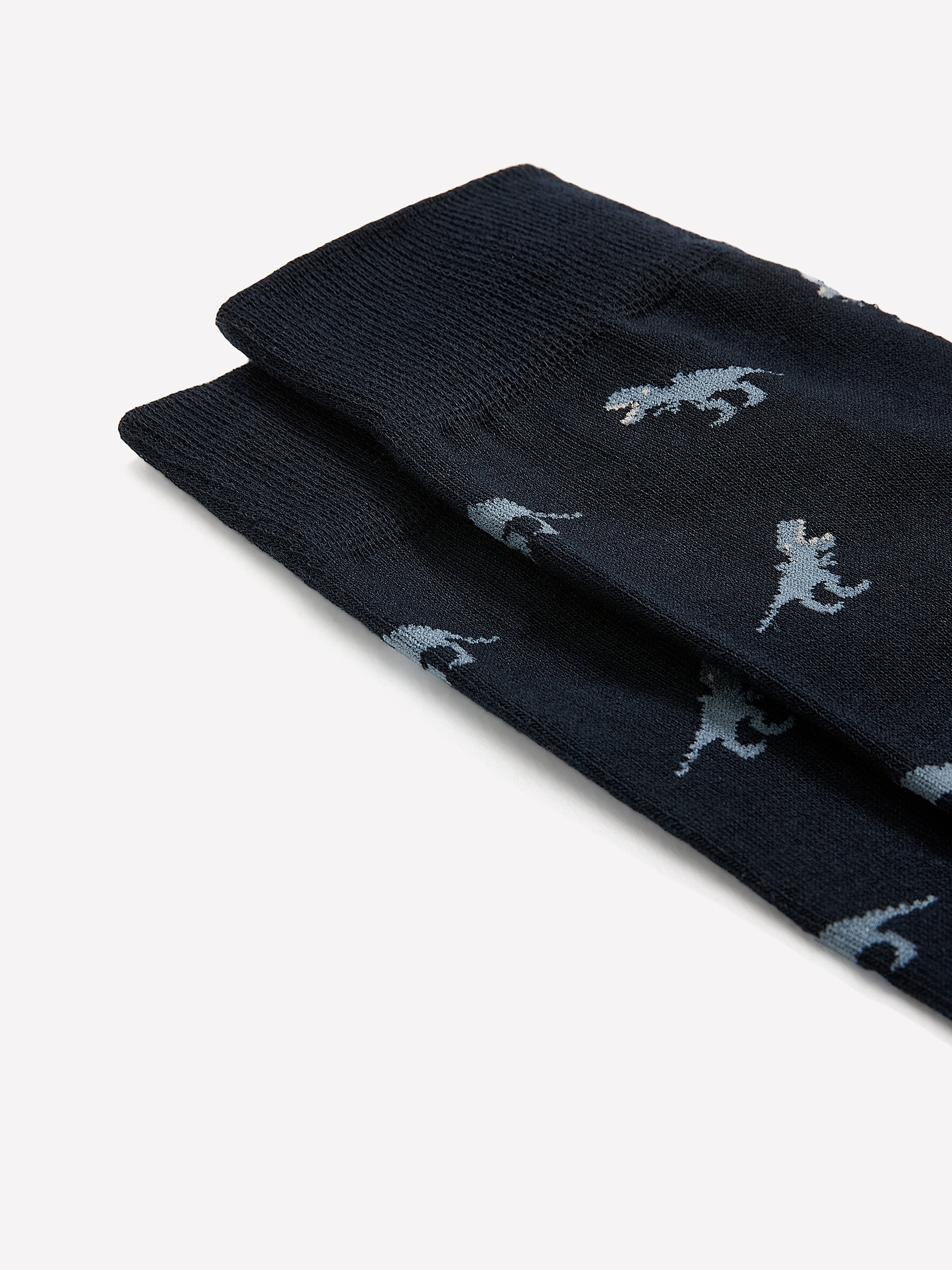 Dinosaur Socks rw&co Special Promo Price