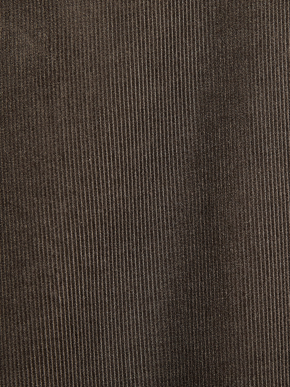Regular Fit Corduroy Shirt rw&co Special Offer
