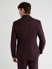 Slim Fit Fig Suit Blazer rw&co Special Promo Price