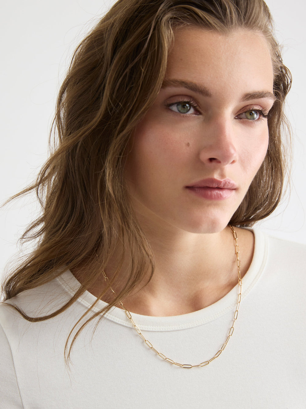 Paperclip Chain Necklace rw&co Special Offer