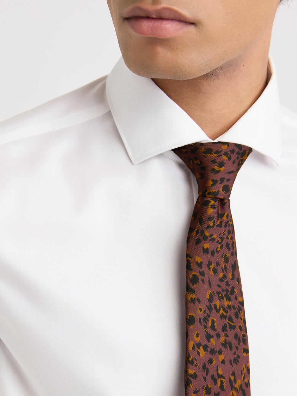 Regular Tie with Leopard Print rw&co Exclusive Sale Price