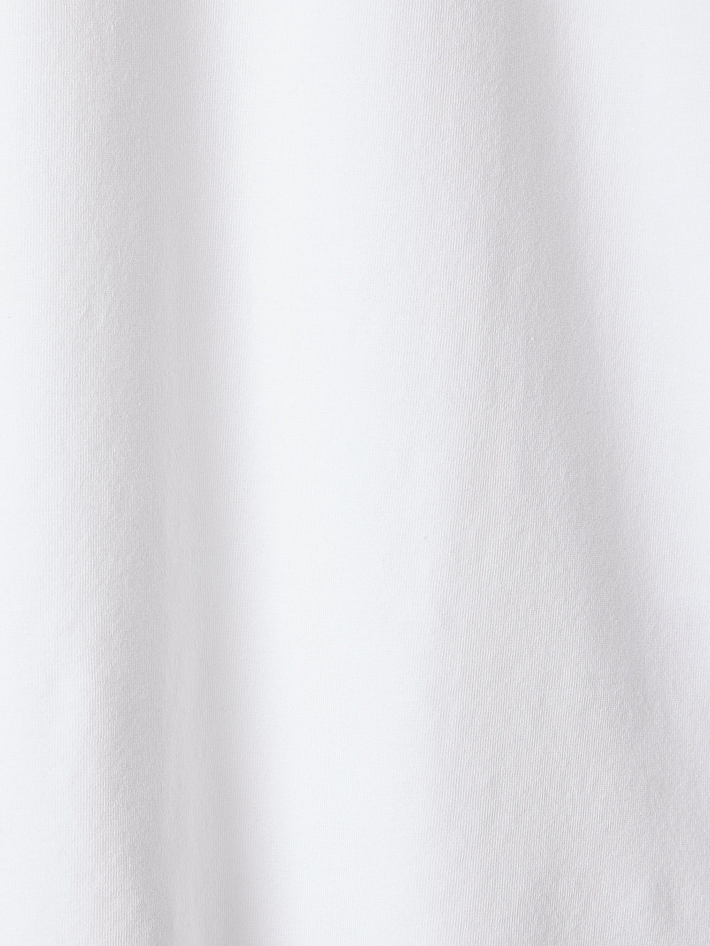 Oversized Supima Cotton Tee rw&co On Sale
