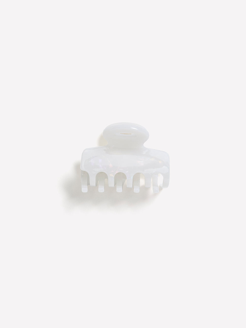 Acrylic Hair Gripper rw&co Limited Time Discount