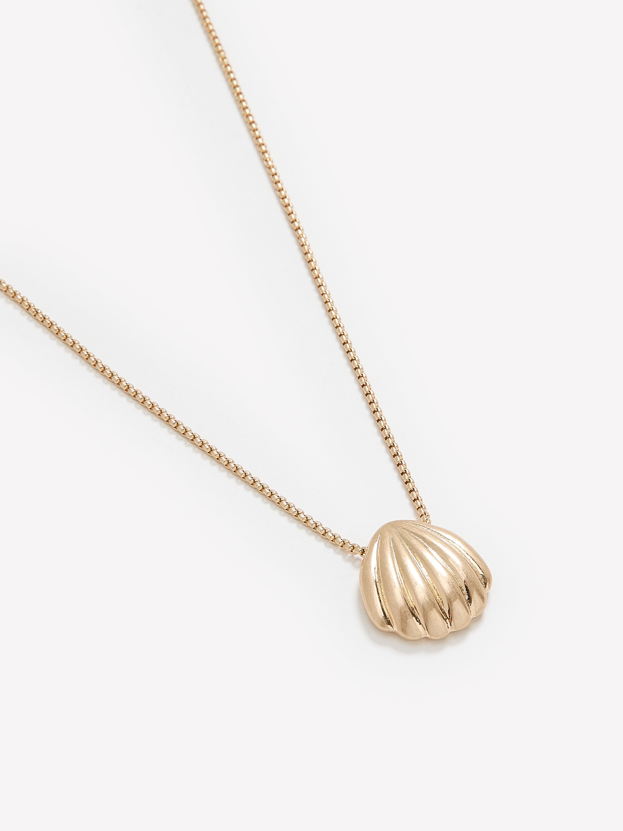 Long Necklace with Shell Pendant rw&co Special Offer