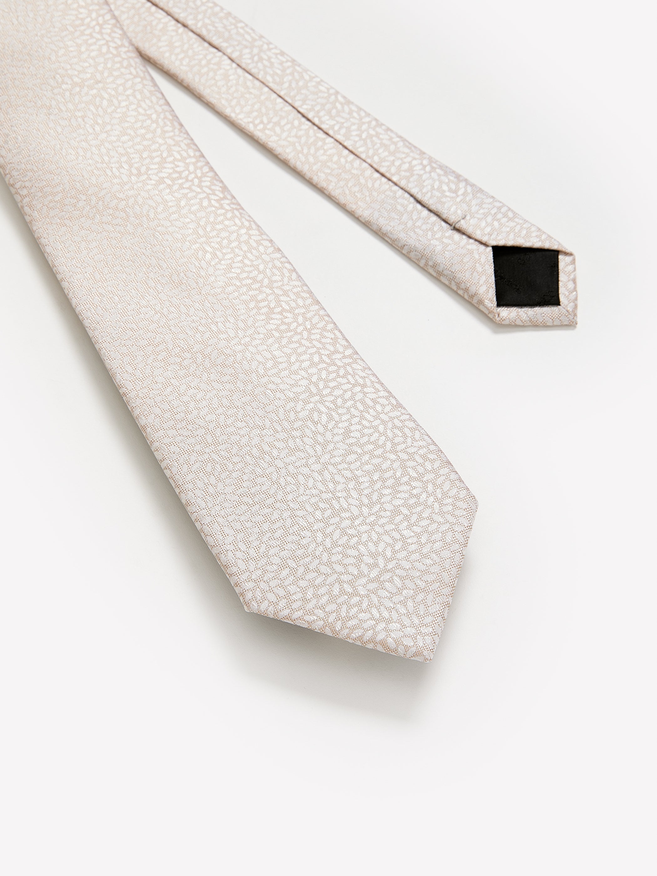 Regular Tie with Micro Petals rw&co Special Promo Price