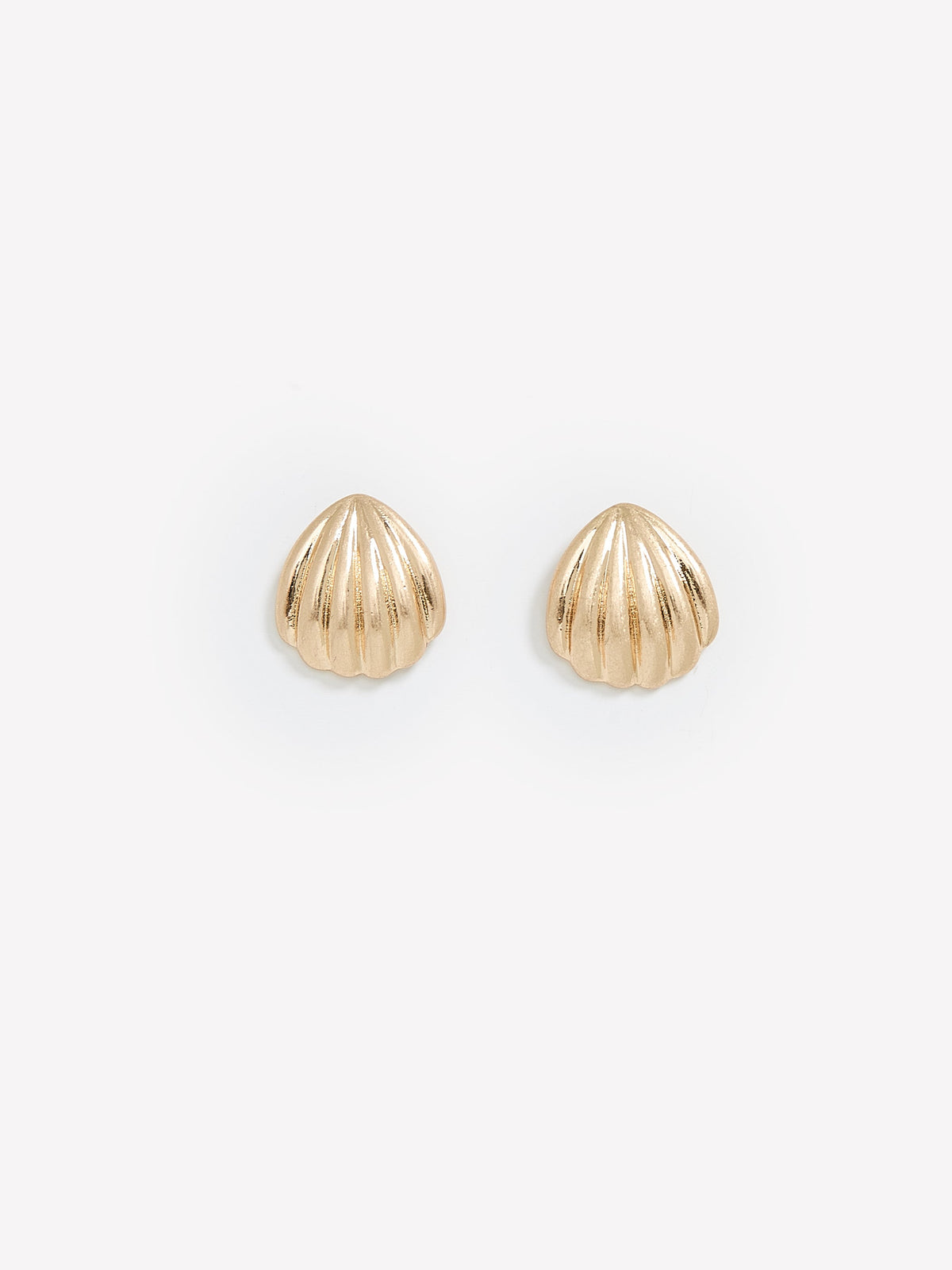 Shell Earrings rw&co Great Value Deal