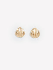 Shell Earrings rw&co Great Value Deal
