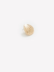 Shell Earrings rw&co Great Value Deal